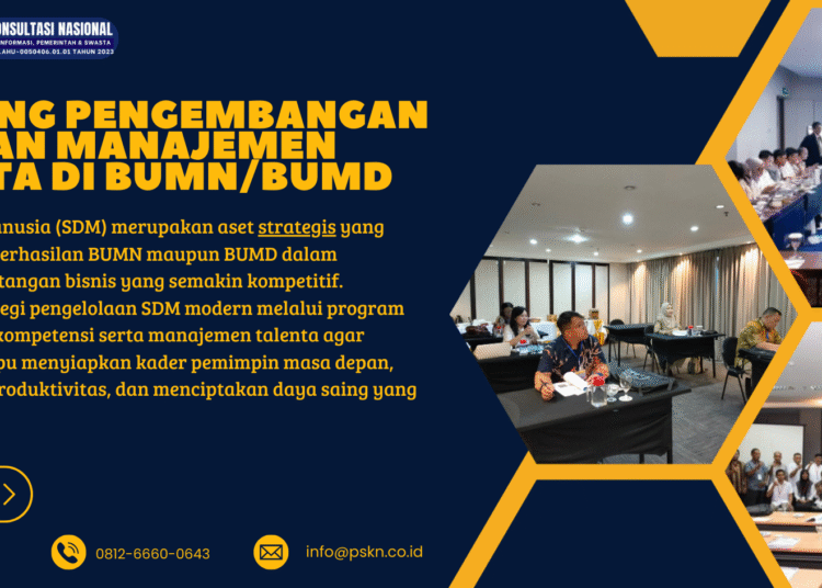 Training Pengembangan SDM dan Manajemen Talenta di BUMN/BUMD – PSKN