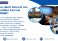 Pelatihan Audit Internal dan Pengendalian Internal BUMN/BUMD – PSKN