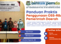 Panduan Praktis Penggunaan OSS-RBA untuk Pemerintah Daerah