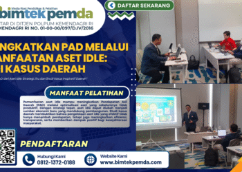 Meningkatkan PAD melalui Pemanfaatan Aset Idle: Studi Kasus Daerah