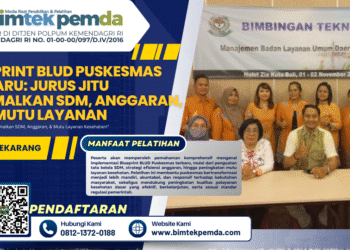 Blueprint BLUD Puskesmas Terbaru: Jurus Jitu Optimalkan SDM, Anggaran, dan Mutu Layanan