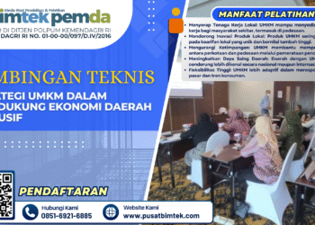 Strategi UMKM dalam Mendukung Ekonomi Daerah Inklusif