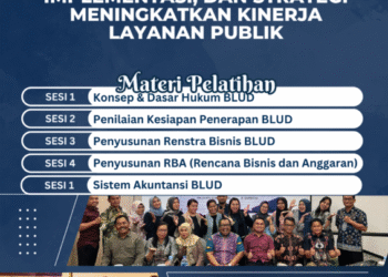Pengelolaan BLUD: Konsep, Implementasi, dan Strategi Meningkatkan Kinerja Layanan Publik