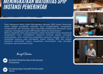 Peran Manajemen Risiko dalam Meningkatkan Maturitas SPIP Instansi Pemerintah – PSKN